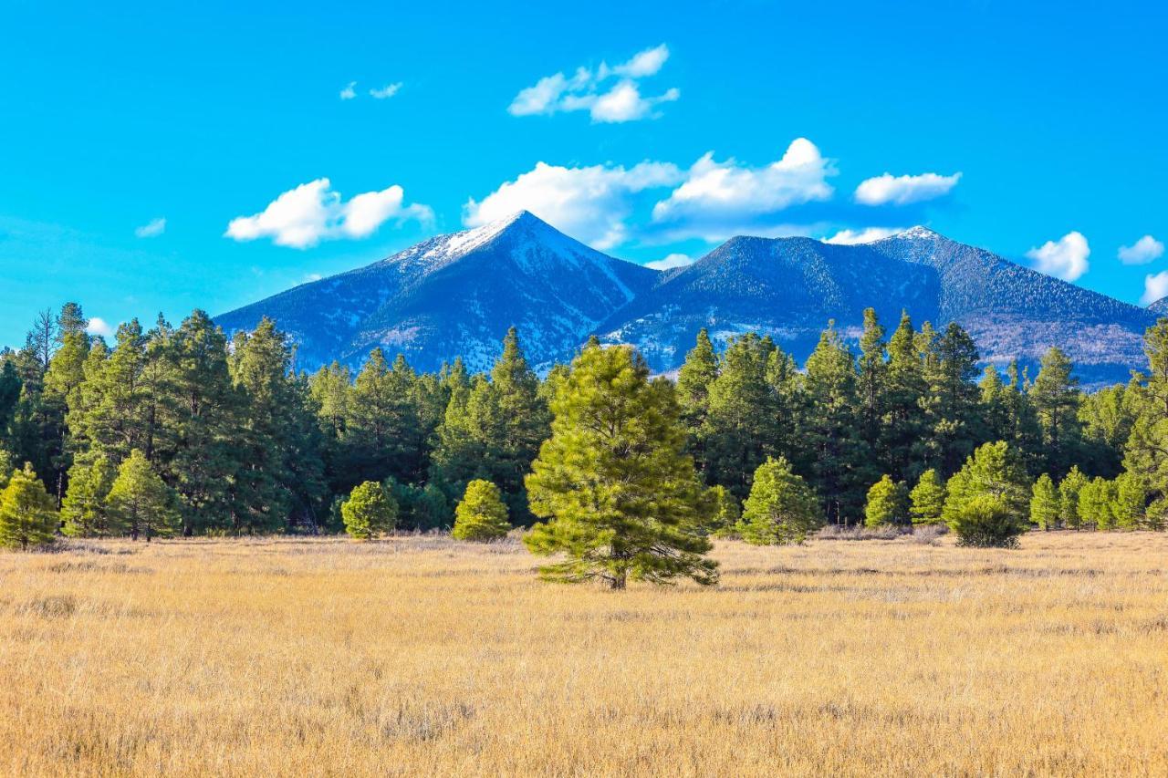 Mt. Elden Adventure Villa Flagstaff Ngoại thất bức ảnh
